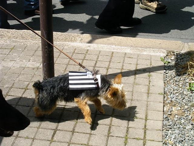 UNITE DE LA BRETAGNE- 18 juin NAONED