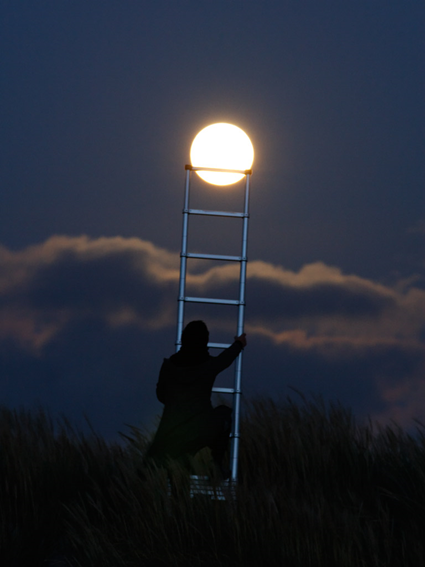 grimper sur la Lune à l'aide d'une échelle., Laurent Laveder
