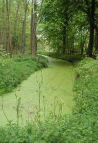 Pollution de l'eau douce