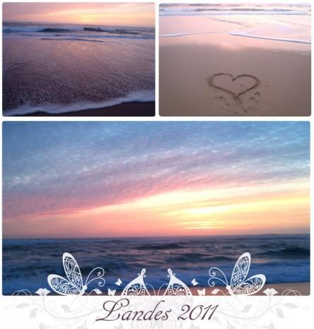 couché de soleil dans les landes 2011