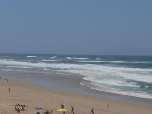 C_te_landaise_jour_1_013