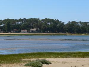 C_te_landaise_jour_1_031