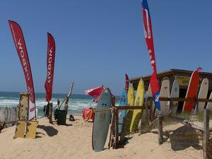 C_te_landaise_jour_1_019