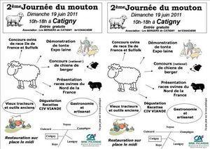 journée du mouton