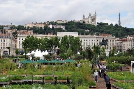 Nature Capitale : cuisine, bière et amusements... Nature Capitale : cuisine, bière et amusements...