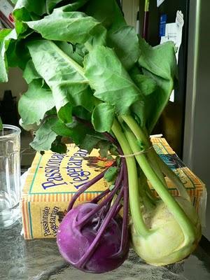 Kohlrabi: the Red Neck Ice Cream