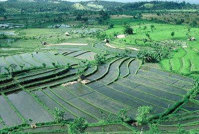 Bali, 20 juin 1993