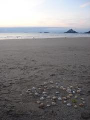 14 juin soir (39).JPG