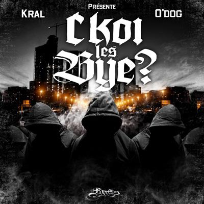 Scrib'R ft L.I.O - Lyrical Brolik (2011)