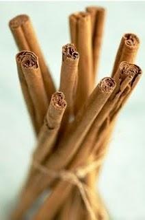 Deux ou trois Choses à propos de Cannelle - Le jardin de ma Soeur - 25/08-10/09 Deux ou trois Choses à propos de Cannelle - Le jardin de ma Soeur - 25/08-10/09