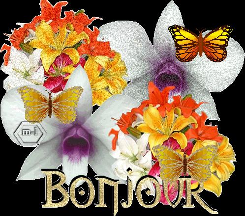 02_bonjour