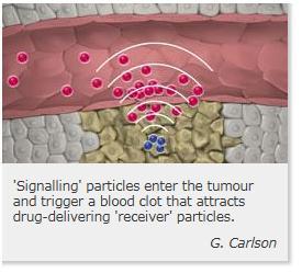 CANCER: Des nanoparticules qui font coup double sur les tumeurs – Nature Materials