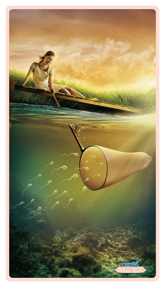 Attrape Spermatozoïdes | Carex