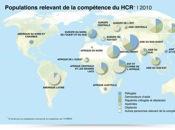 43,7 millions réfugiés dans monde