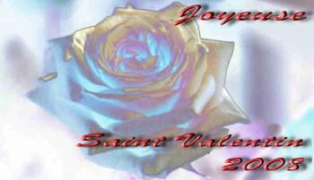 Rose_saint_valentin_2008