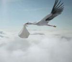 vidéo pub monster cigogne