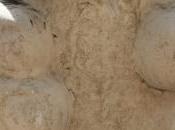 confiez d'appareil photo (les vraies vacances SpicyNico Première partie)