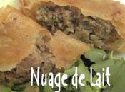 Samoussas boeuf gingembre