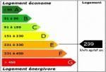 le DPE : étiquette énergétique obligatoire en théorie depuis le 1er janvier 2011 mais pas en pratique