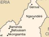 Cameroun Election présidentielle 2011: polémiques, conséquences inconséquences.