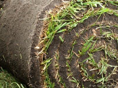 Photo mystère (ou pas)