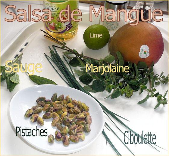 salsa-de-mangue-ingred.jpg