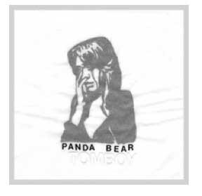 Panda Bear : un son radieux, fulgurant, éblouissant