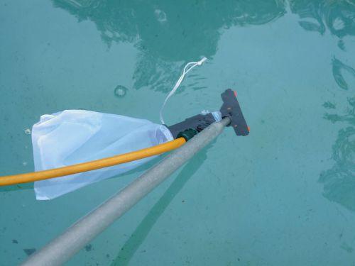 Piscine naturelle : opérations de nettoyage du bassin de nage