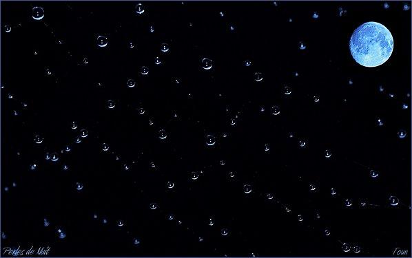 1perles-de-nuit-b.jpg