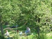 Desartsonnants l'étang d'art