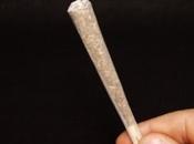 Drogue pour distribution réglementée