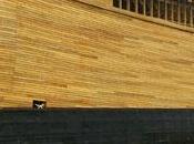 homme rêve l’Apocalypse construit Arche