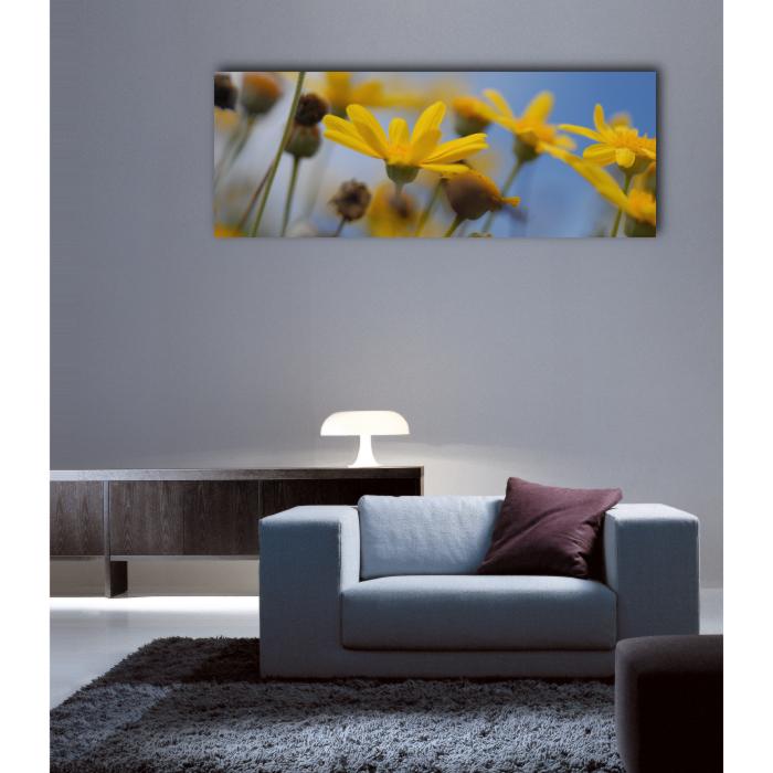 Tirage photo panoramique sur tableau