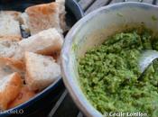 Pesto fanes radis noisettes