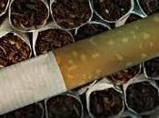 CIGARETTES: Menthol marketing dans collimateur Nicotine Tobacco Research