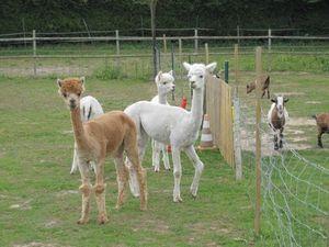 photo_297935_8823247_2011052601077971