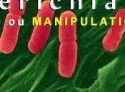 Escherichia Coli Super Bactérie Manipulation Génétique