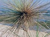 Gili Trawangan, Lombok, juin 1993