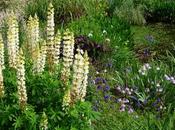 C'est jardin extraordinaire