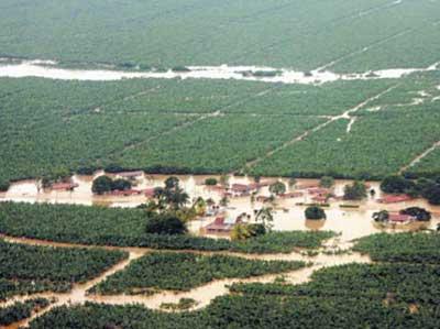 L'agro-industrie au Costa Rica : une agriculture esclavagiste et dévastatrice