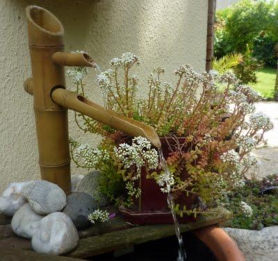 A la recherche d'ombre...et de fraîcheur, me voilà devenu...