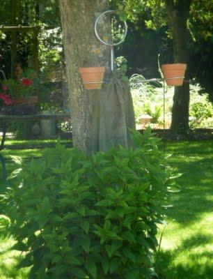 A la recherche d'ombre...et de fraîcheur, me voilà devenu...