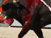 intelligence chose moins bien partagee monde...