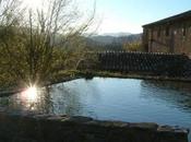 auberges jeunesse écologiques