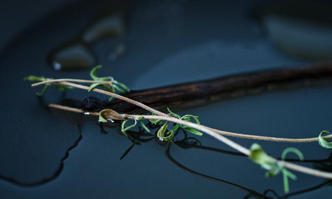 petite poêlée d'été, 