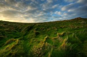 Les paysages d’Emmanuel Coupe