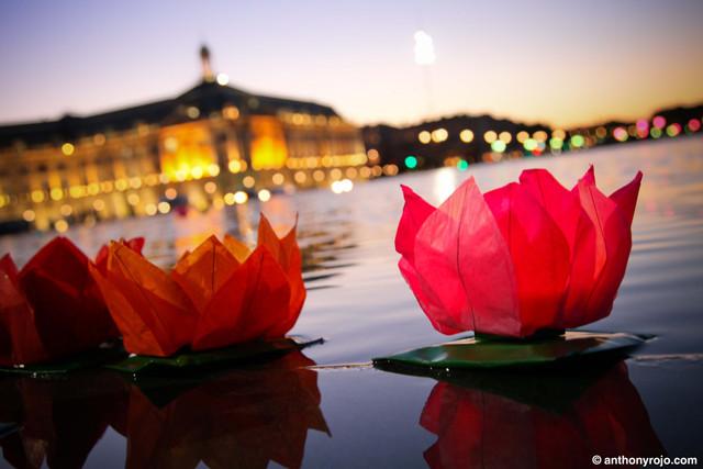Reportage Photos - Couleur et lumière sur le miroir d'eau de Bordeaux avec les lanternes flottantes !