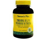 Tribulus terrestris: la plante de toutes les performances?