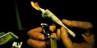 La consommation de cannabis stable en France, la cocaïne progresse