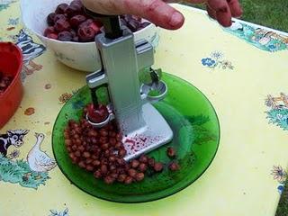 Comment conserver vos cerises ? Le dénoyautage (1)